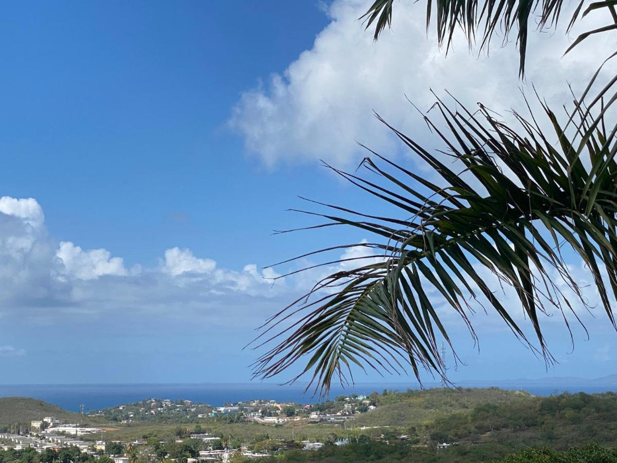 Las Terrazas Los Chivos Vieques Luaran gambar