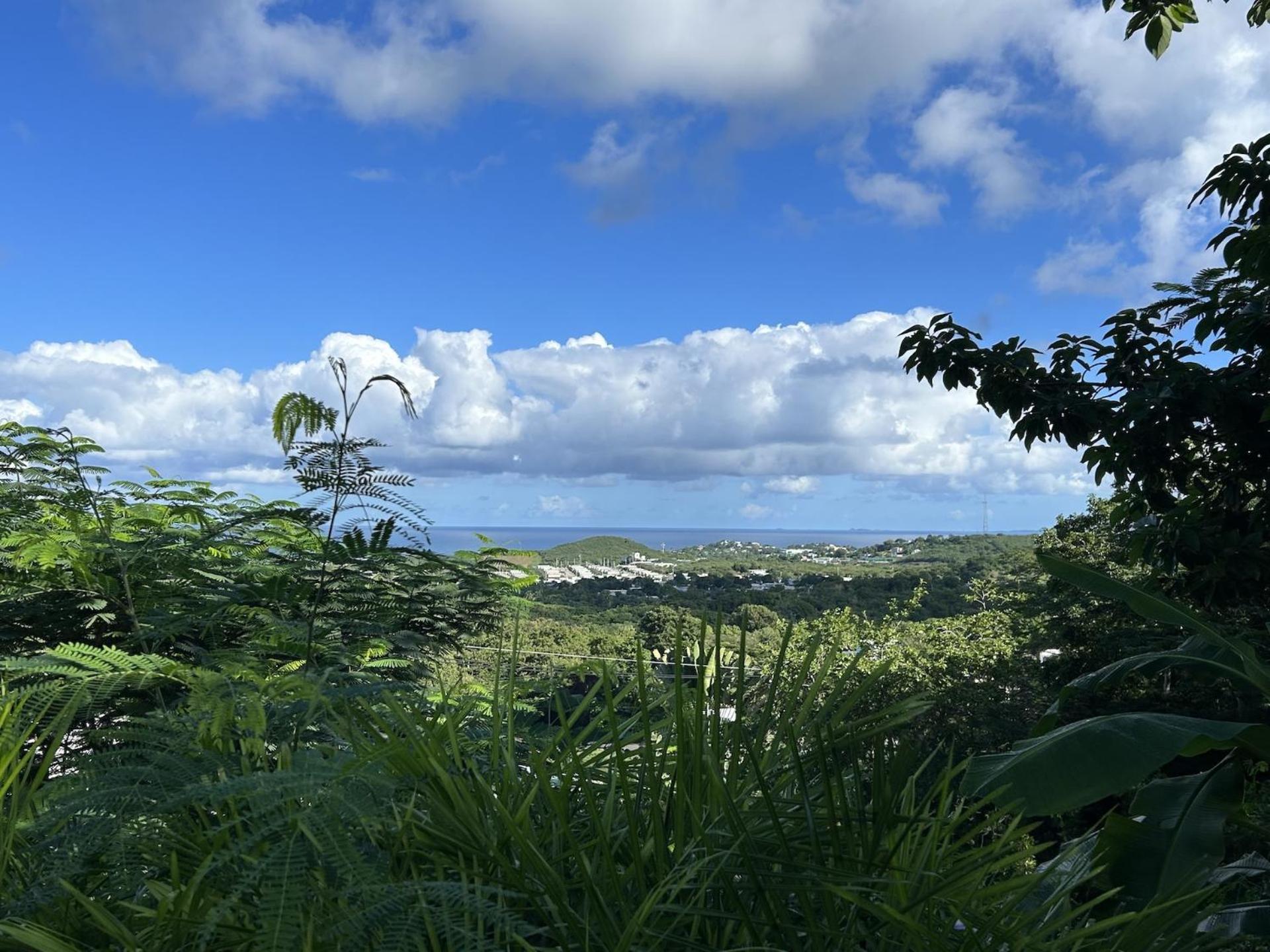 Las Terrazas Los Chivos Vieques Luaran gambar